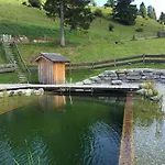 Zirbenhuette * Abtenau
